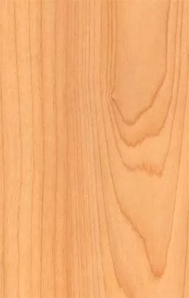 Maple